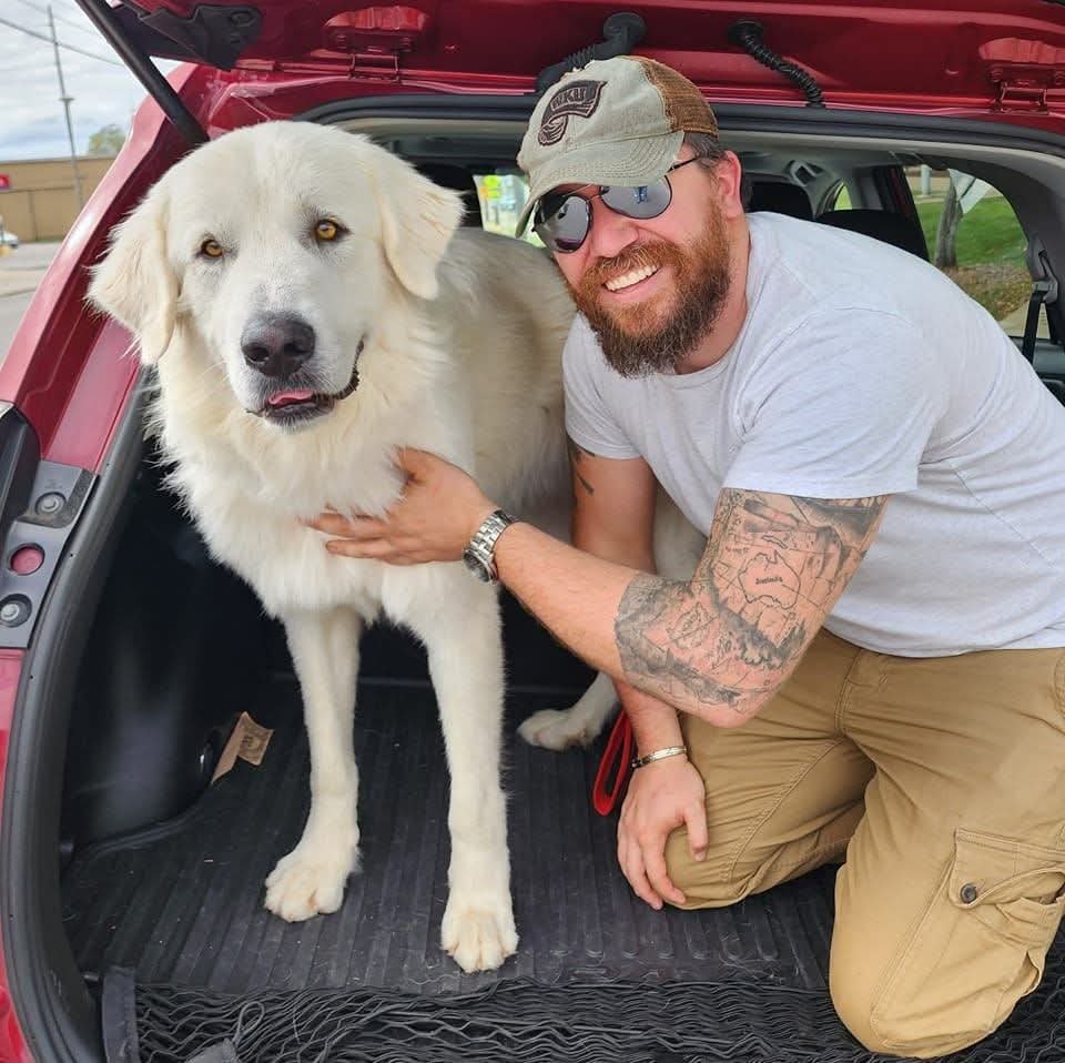 Ben beside a big white dog in the back of a car