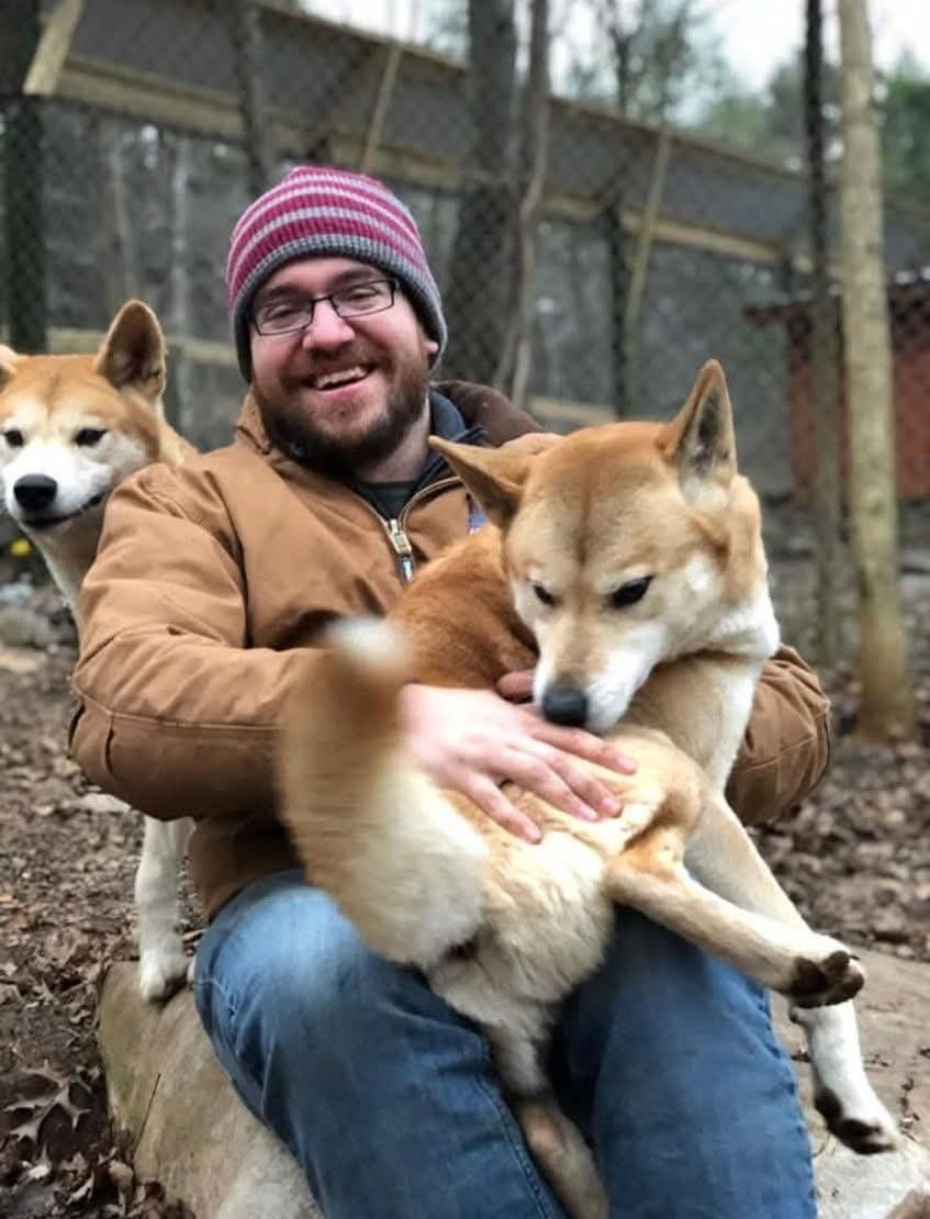 Ben laughing with two Shiba Inus climbing on him